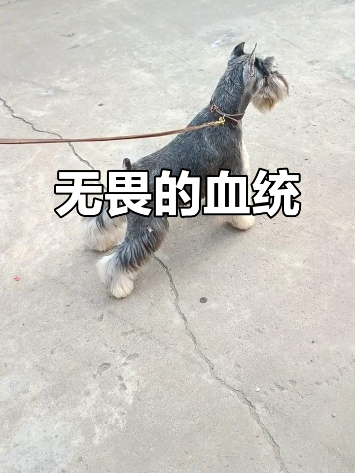 热火掀起波澜，无畏挑战强敌路