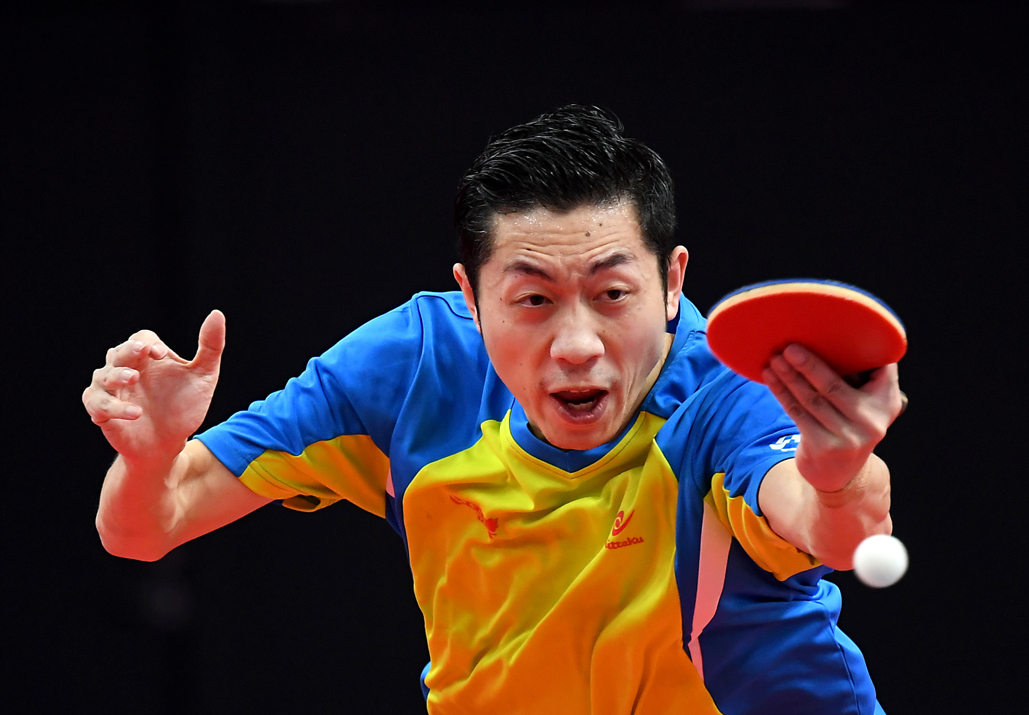 德国乒乓球队力克日本乒乓球队,许昕爆发神勇的简单介绍 德国乒乓球队力克日本乒乓球队,许昕爆发神勇的简单介绍