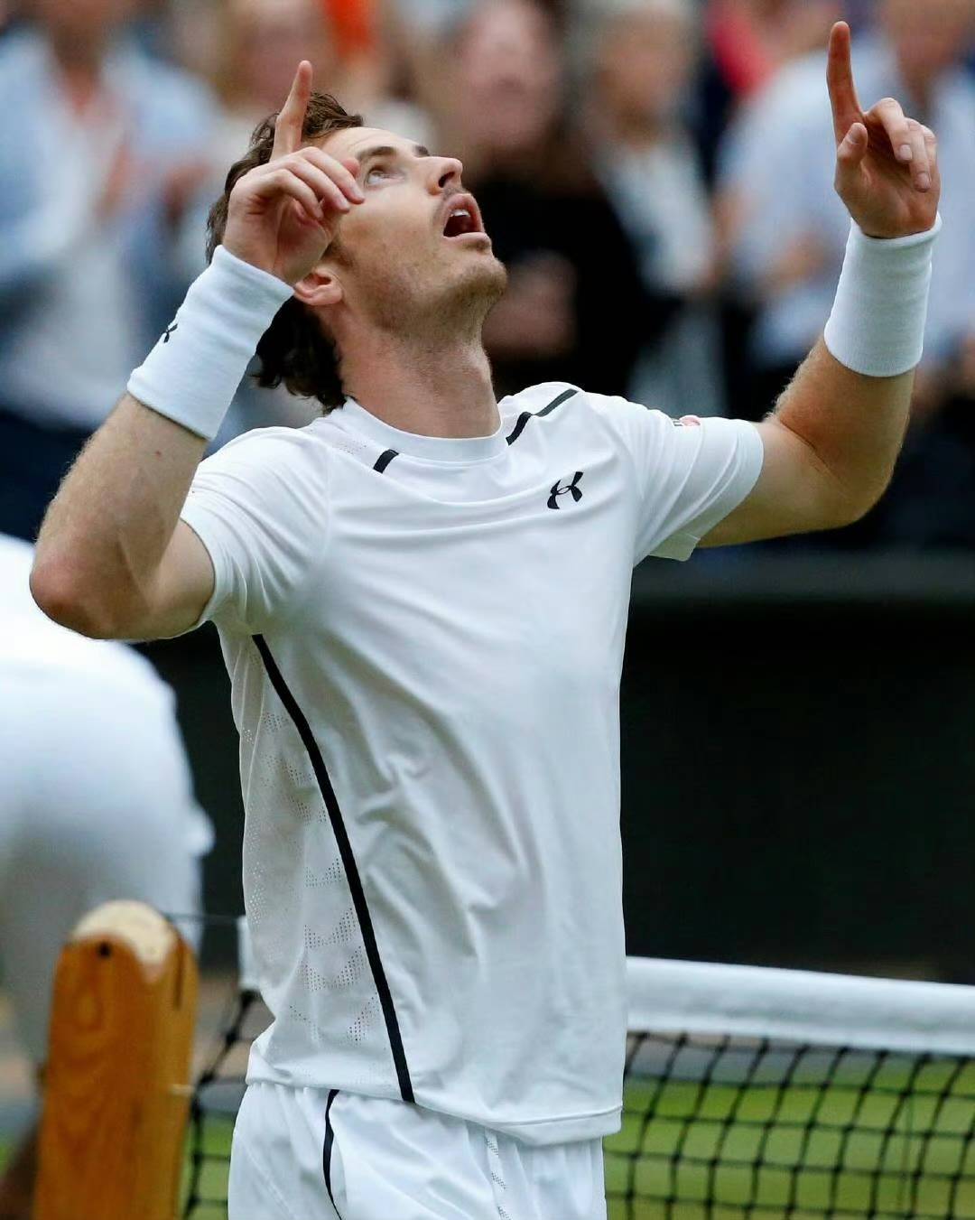 蒙特卡洛大师赛绝杀温网,穆雷高光表现 蒙特卡洛大师赛绝杀温网,穆雷高光表现